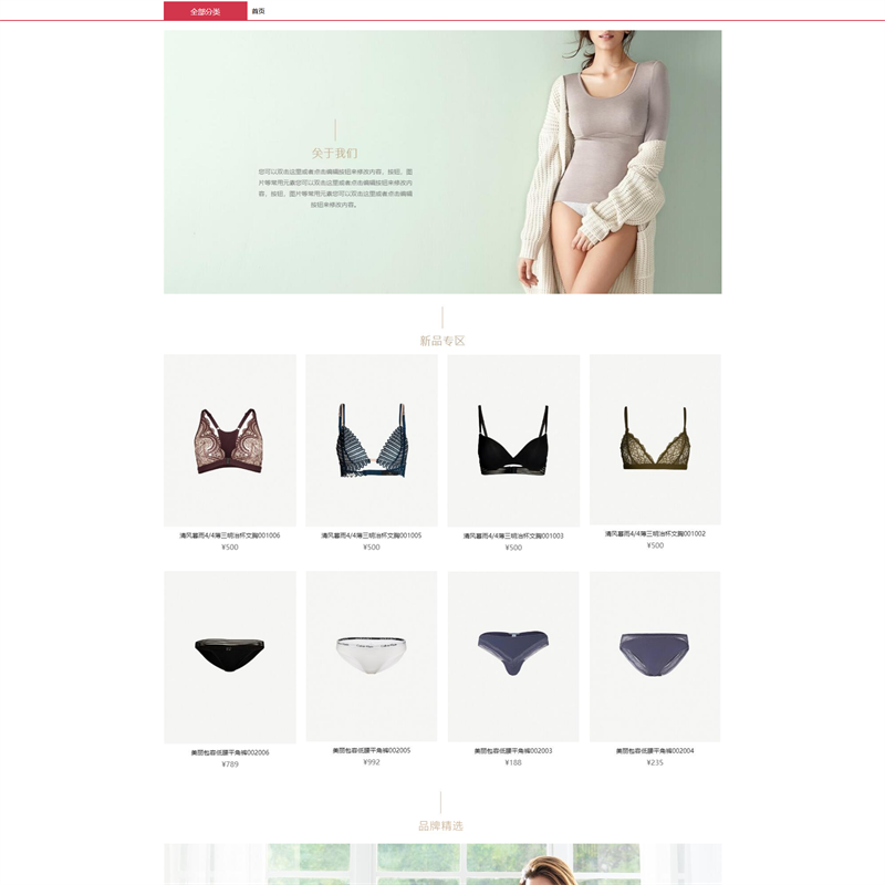 Brand underwear mall template